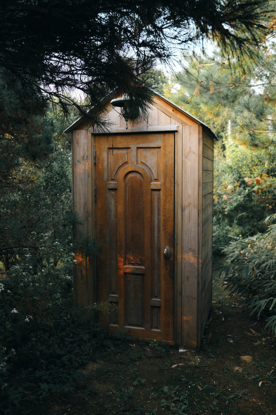 森の中に建つ木製の小屋